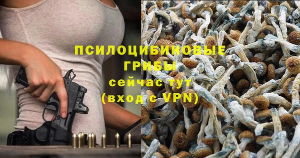 гашиш Богородск